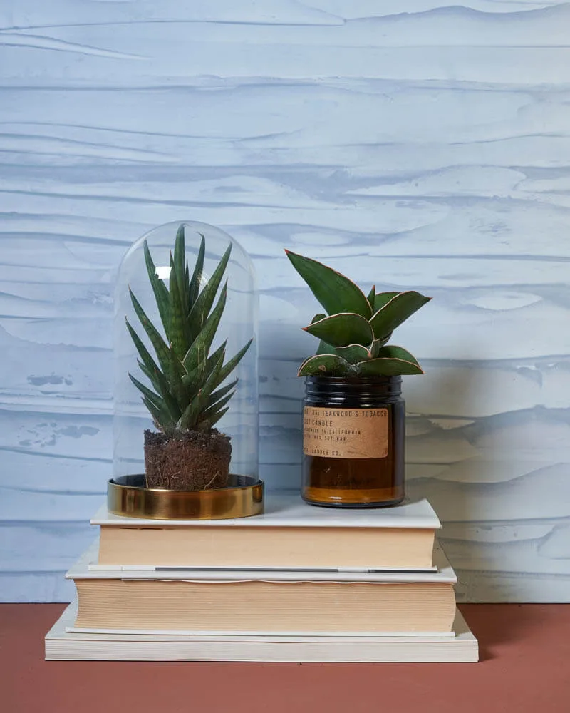 Florenzia, naturligt, kalkmaling, økologi, novacolor.dk